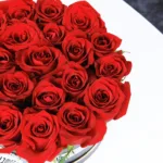 Sweet Red Roses In A Box 2 BT_FL_2021.02