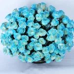 BT_FL_2043ز01