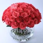 Memorable Anniversary 1 BT_FL_2051