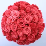 Memorable Anniversary 2 BT_FL_2051.03