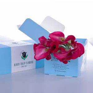 Callalily Dark Pink