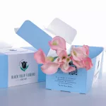 Callalily Light Pink (1)