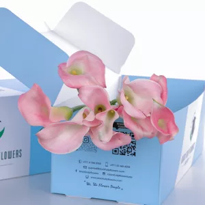 Callalily Light Pink