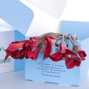 Callalily Red