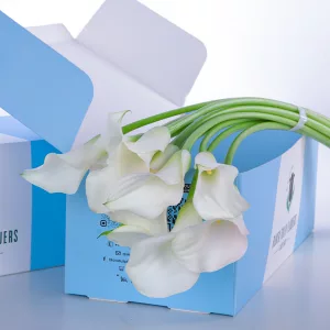 Callalily White
