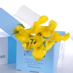 Callalily Yellow (2)