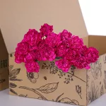 Carnation Single Dark Pink 01