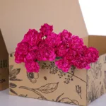 Carnation Single Dark Pink 01