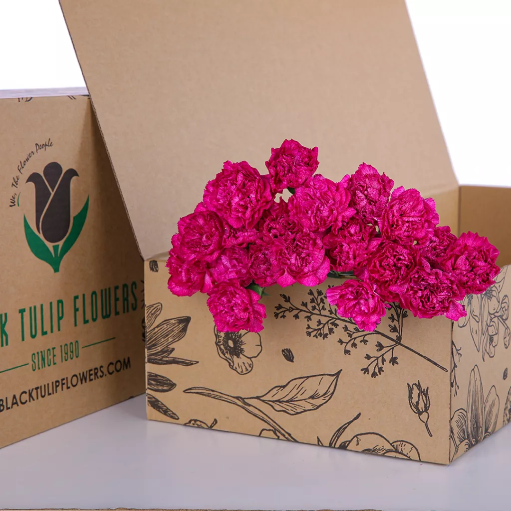 A cardboard box containing Carnation flowers in a single dark pink hue, elegantly arranged for display.