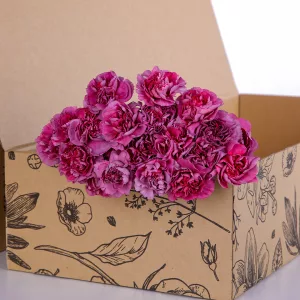 Carnation Single Dark Purple