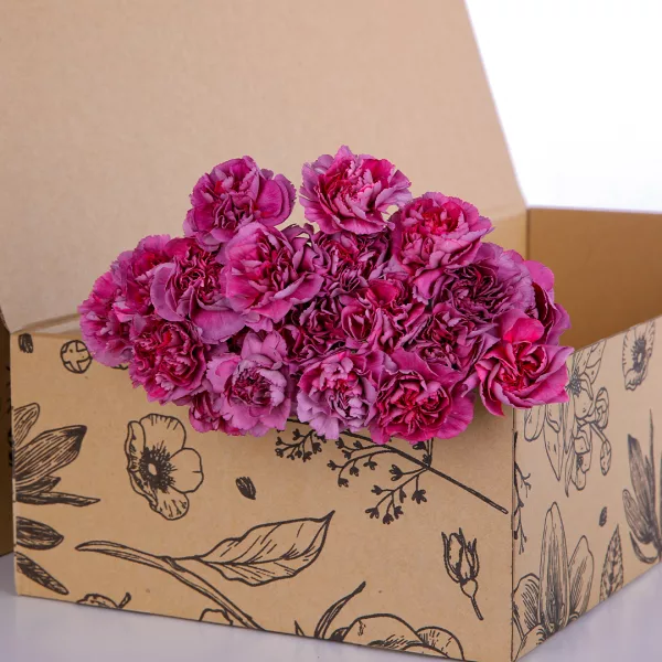 Carnation Single Dark Purple