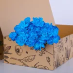 Carnation Single Dyed Light Blue