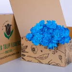 Carnation Single Dyed Light Blue