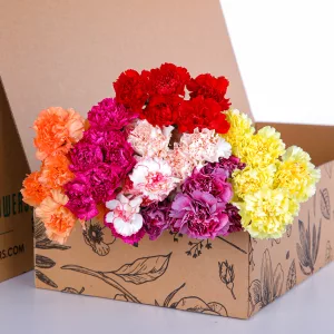 Carnation Single Mix
