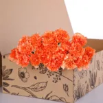 Carnation Orange 2 Carnation Single Orange 02