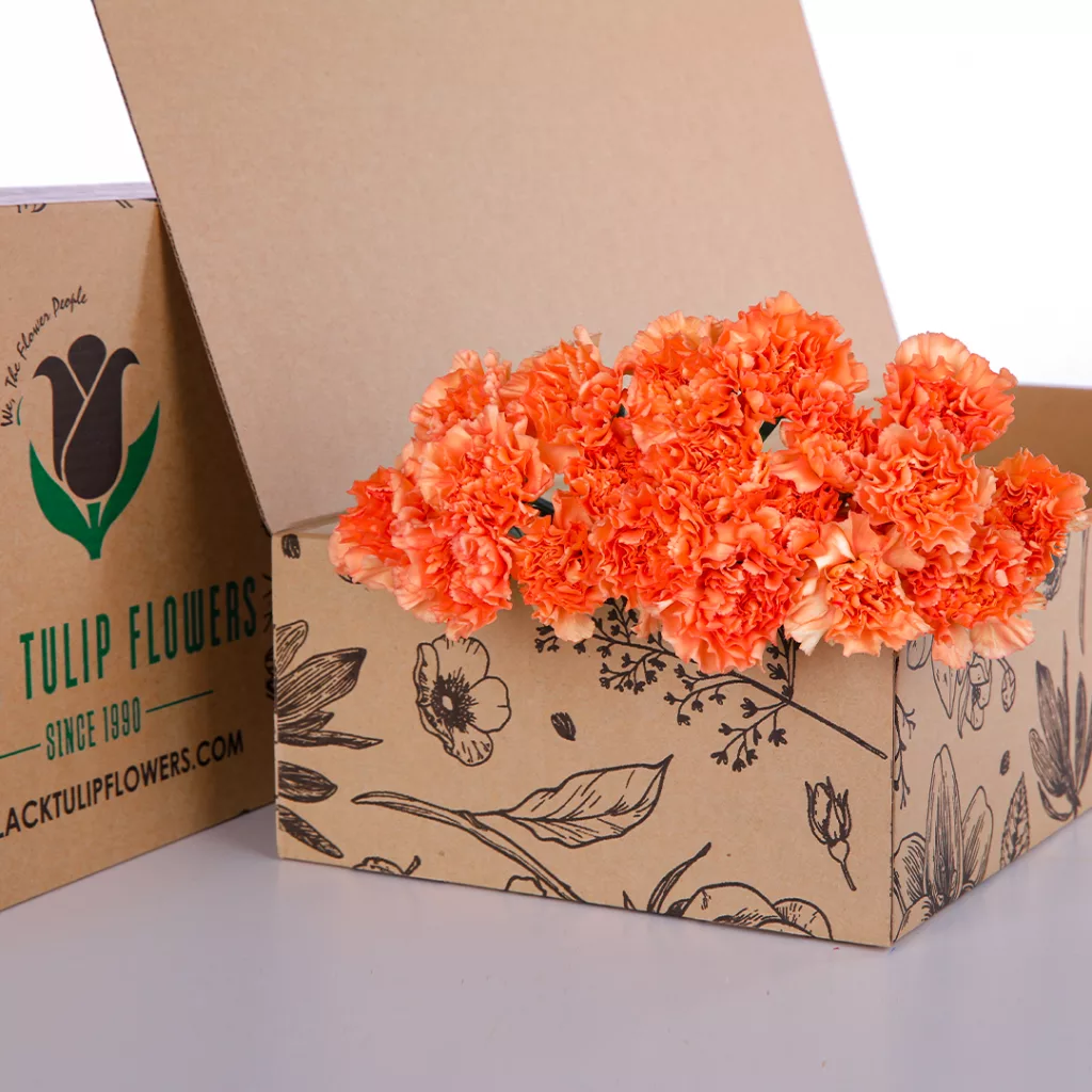 Carnation Single Orange 03 A cardboard box labeled Carnation Orange, featuring a bright orange hue and an attractive design.