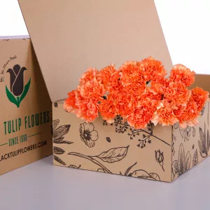 Carnation Single Orange