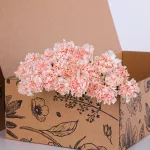 Carnation Single Peach 02