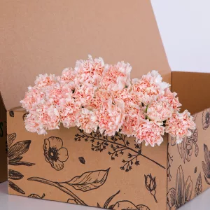 Carnation Single Peach
