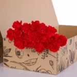 Carnation Single Red 02