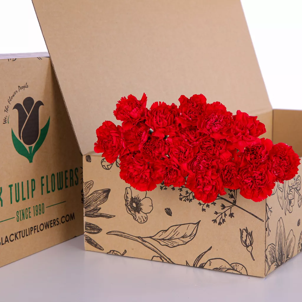 10 stems of red carnations bundled together, including flower food suitable for any arrangement.