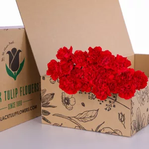 Carnation Single Red