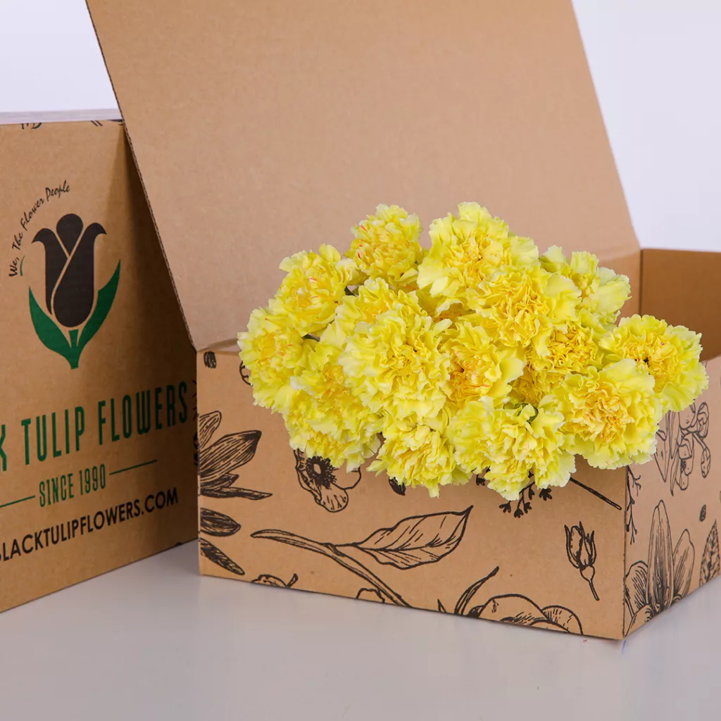 Carnation Single Yellow A cardboard box featuring a single yellow Carnation, highlighting its bright hue and elegant floral design.