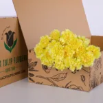 Carnation Single Yellow 1 Carnation Single Yellow