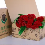 Celosia Red