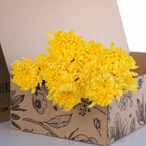 Chrysanthemum Deco Yellow