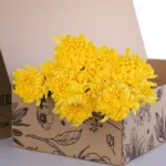Chrysanthemum Deco Yellow 2 Chrysanthemum Deco Yellow