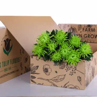 Chrysanthemum Delistar Green bunch in a cardboard box