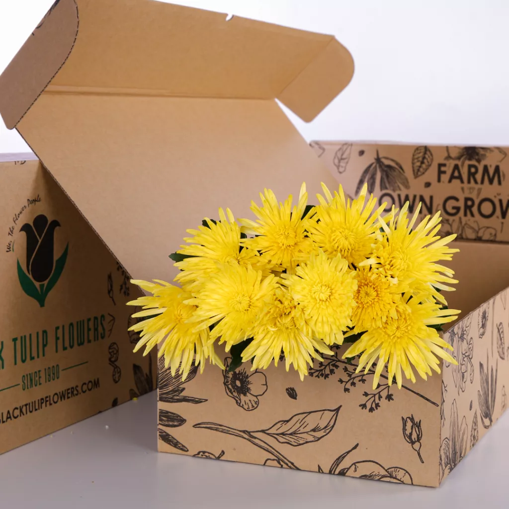 Chrysanthemum Delistar Yellow Delistar Chrysanthemum Yellow in a cardboard box