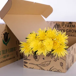 Delistar Chrysanthemum Yellow in a cardboard box