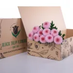Chrysanthemum Ping Pong Pink 1 Chrysanthemum Ping Pong Pink