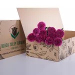 Chrysanthemum Ping Pong Purple