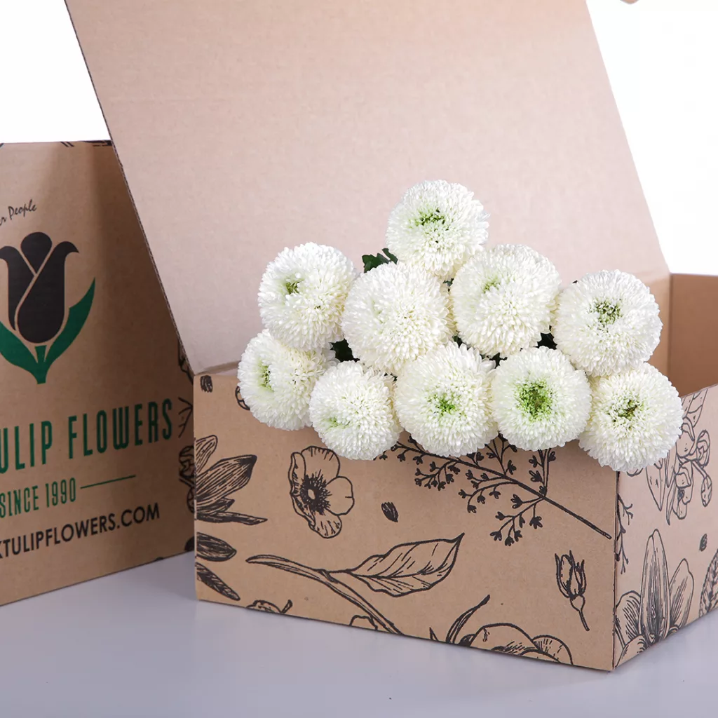 Chrysanthemum Ping Pong White Chrysanthemum Ping Pong White bunch in a cardboard box