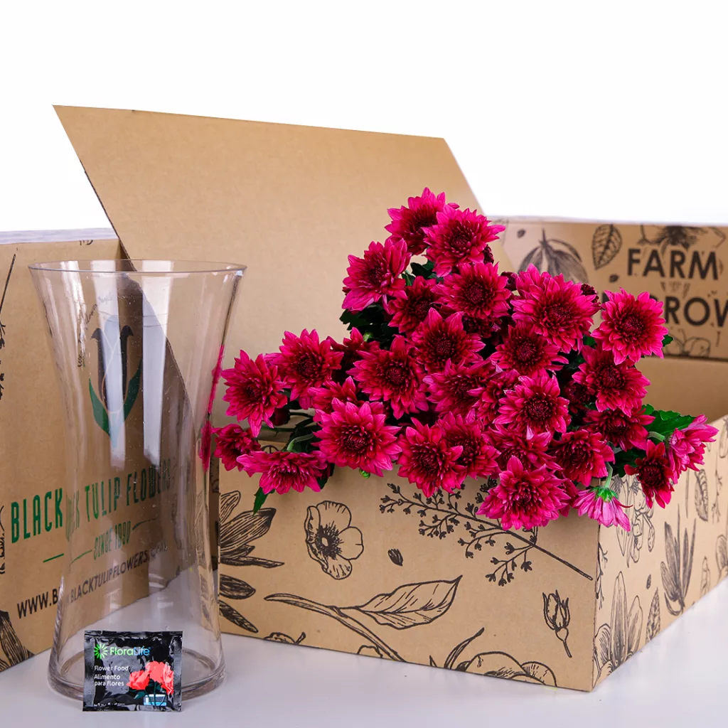 A box of Chrysanthemum Spray Euro Dante Purple, a vase, and a packet of flower food.