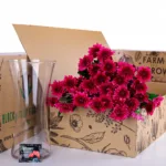 Chrysanthemum Spray Euro Dante Purple 01