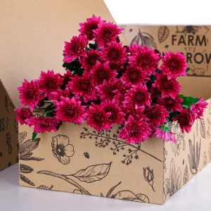 Chrysanthemum Spray Euro Dante Purple