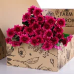 Chrysanthemum Spray Euro Dante Purple 02