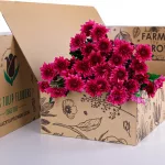Chrysanthemum Spray Euro Dante Purple