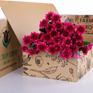 Chrysanthemum Spray Euro Dante Purple