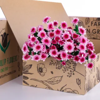 10 stems of Spray Euro Malibu Pink Chrysanthemums with flower food in a cardboard box