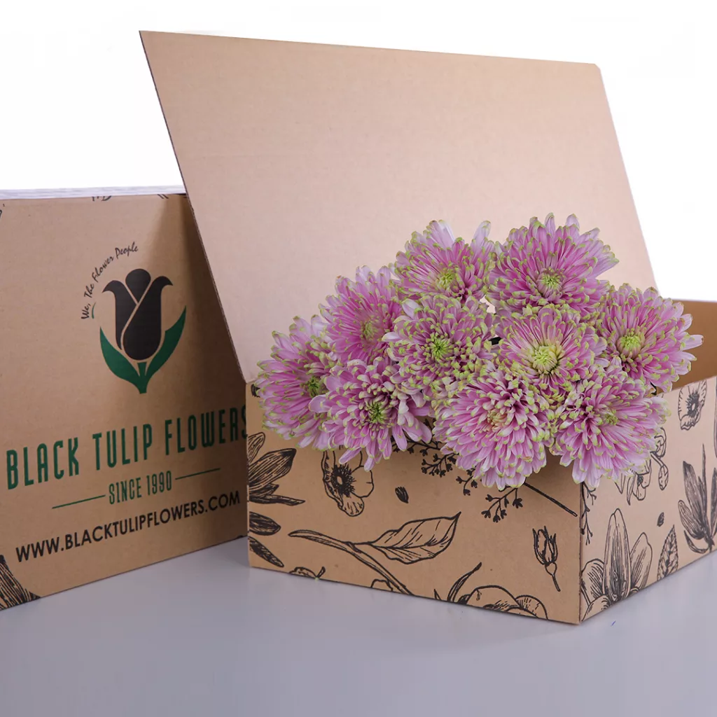 Chrysanthemum Spray Euro - Pink Chrysanthemum Spray Euro pink bunch in a cardboard box