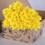 Chrysanthemum - Yellow (1)
