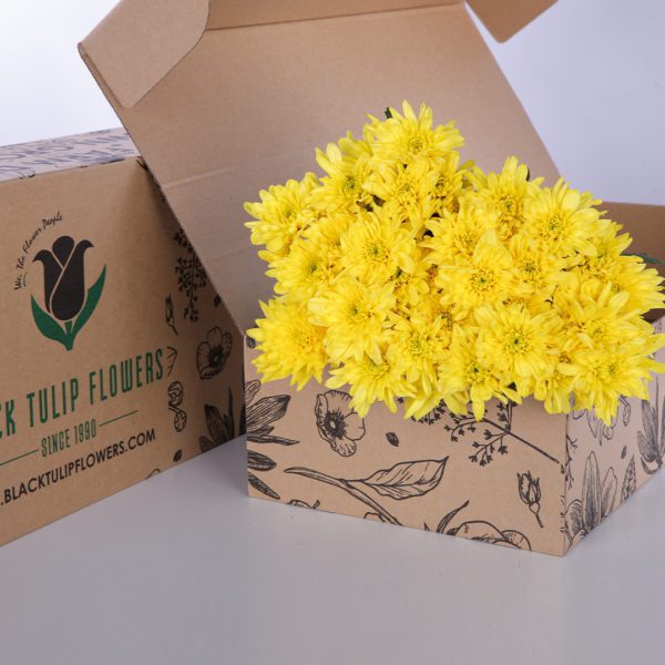 Chrysanthemum - Yellow