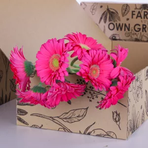 Gerbera Dark Pink