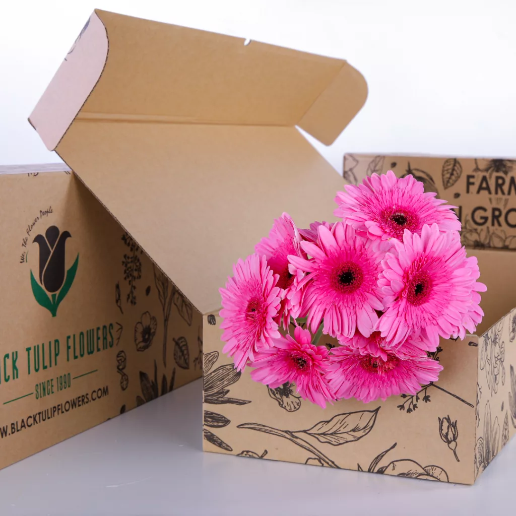 10 Pink gerbera bunches in a cardboard box