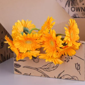 Gerbera Yellow